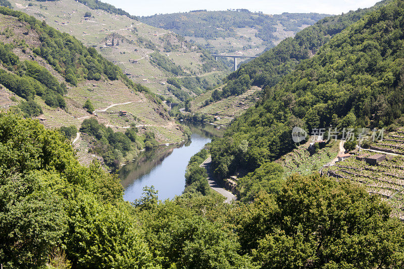 Ribeira sacra景观，葡萄园梯田和森林的河流Miño，加利西亚，西班牙。